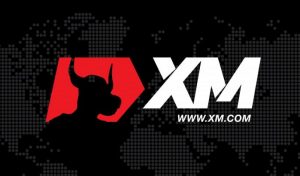 xm fx forex logo