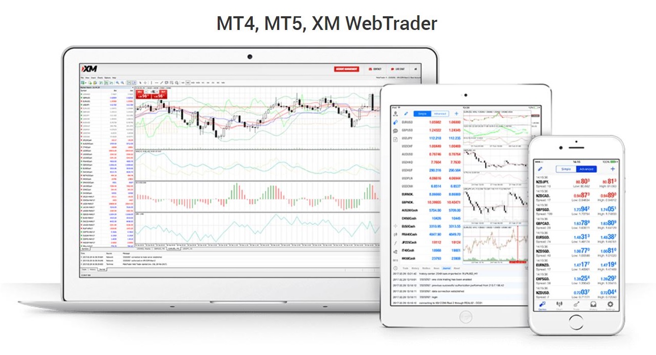 xm mt4 mt5 webtrader tradig platform