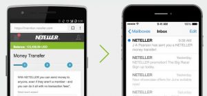 fees-neteller-commission-online-payment-service