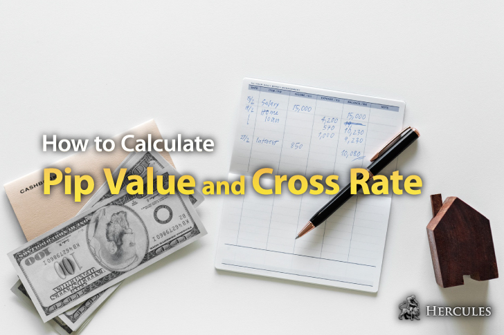 What Is The Pip Value And Cross Rate How Do I Calculate Them - 