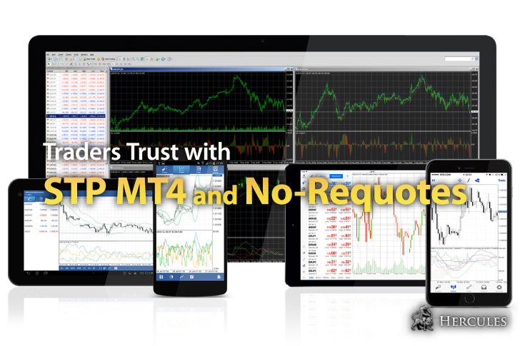 traders-trust-stp-mt4-metatrader4