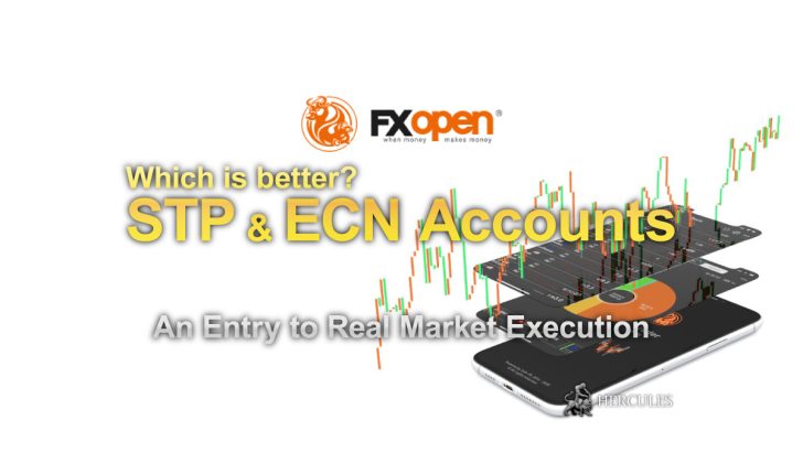 Which is better Overview of FXOpen's STP and ECN accounts