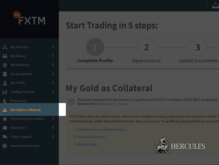fxtm-my-gold-as-collateral-investment-bullion
