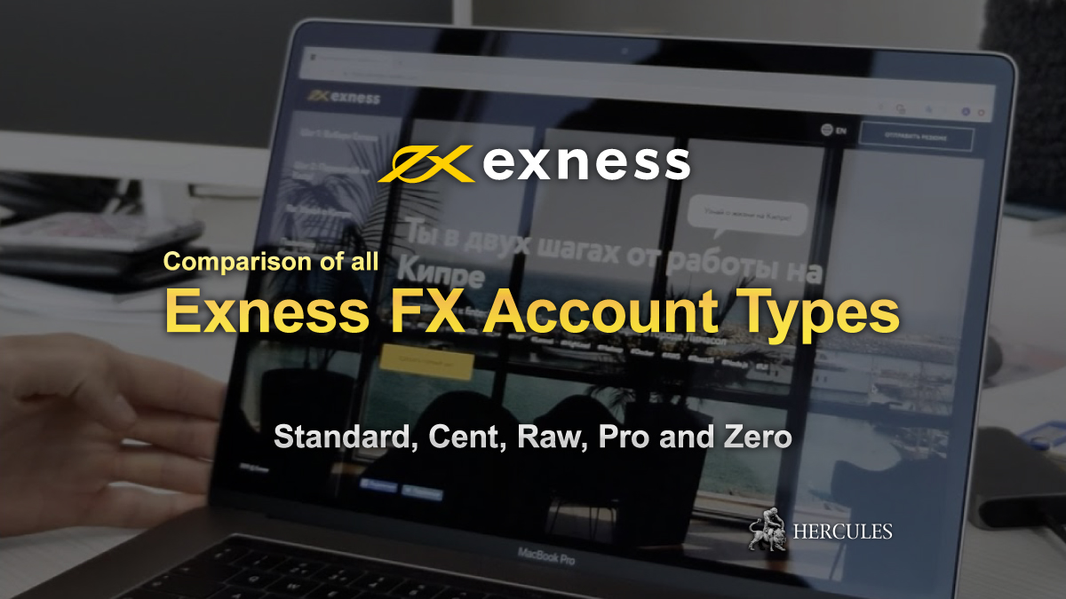 Exness-list-and-comparison-of-account-types-forex-mt4-mt5