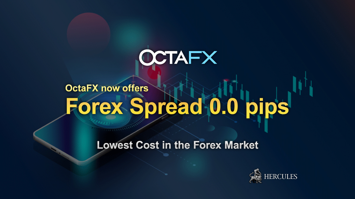 What are spreads in the forex market??