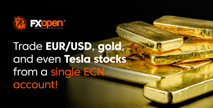 Trade EUR USD, gold, and even Tesla stocks from a single ECN account