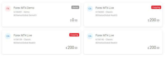 BDSwiss Forex Copy Trading System account status