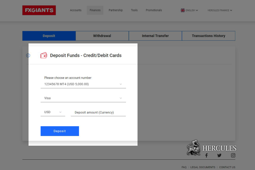 fxgiants-how-to-make-a-deposit-with-credit-or-debit-cards-to-mt4-account-input