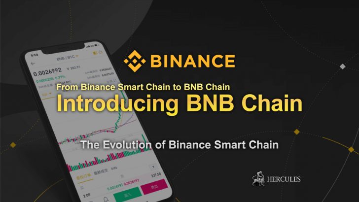 Details-of-BNB-Chain---The-Evolution-of-Binance-Smart-Chain