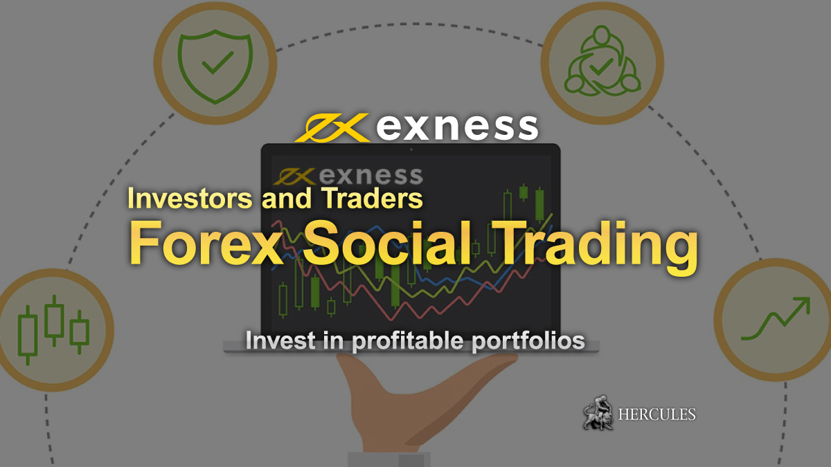 Guide-for-Forex-Social-Trading-on-Exness---Invest-in-profitable-portfolios
