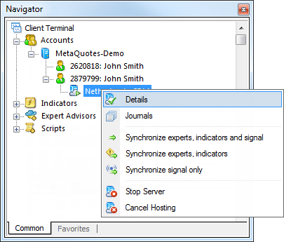 Working with the Virtual Terminal mt4 mt5