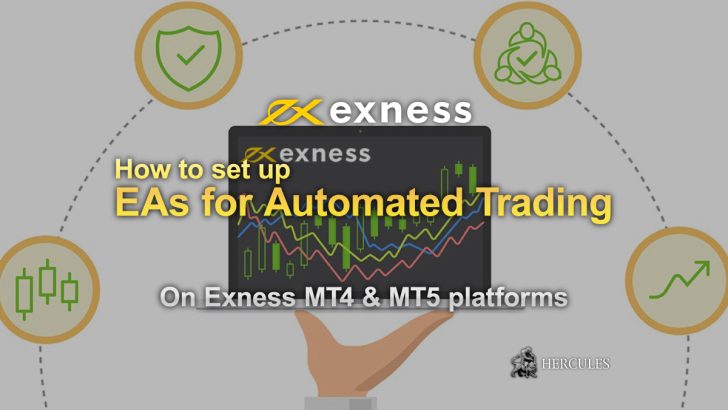 Download Exness Opportunities For Everyone